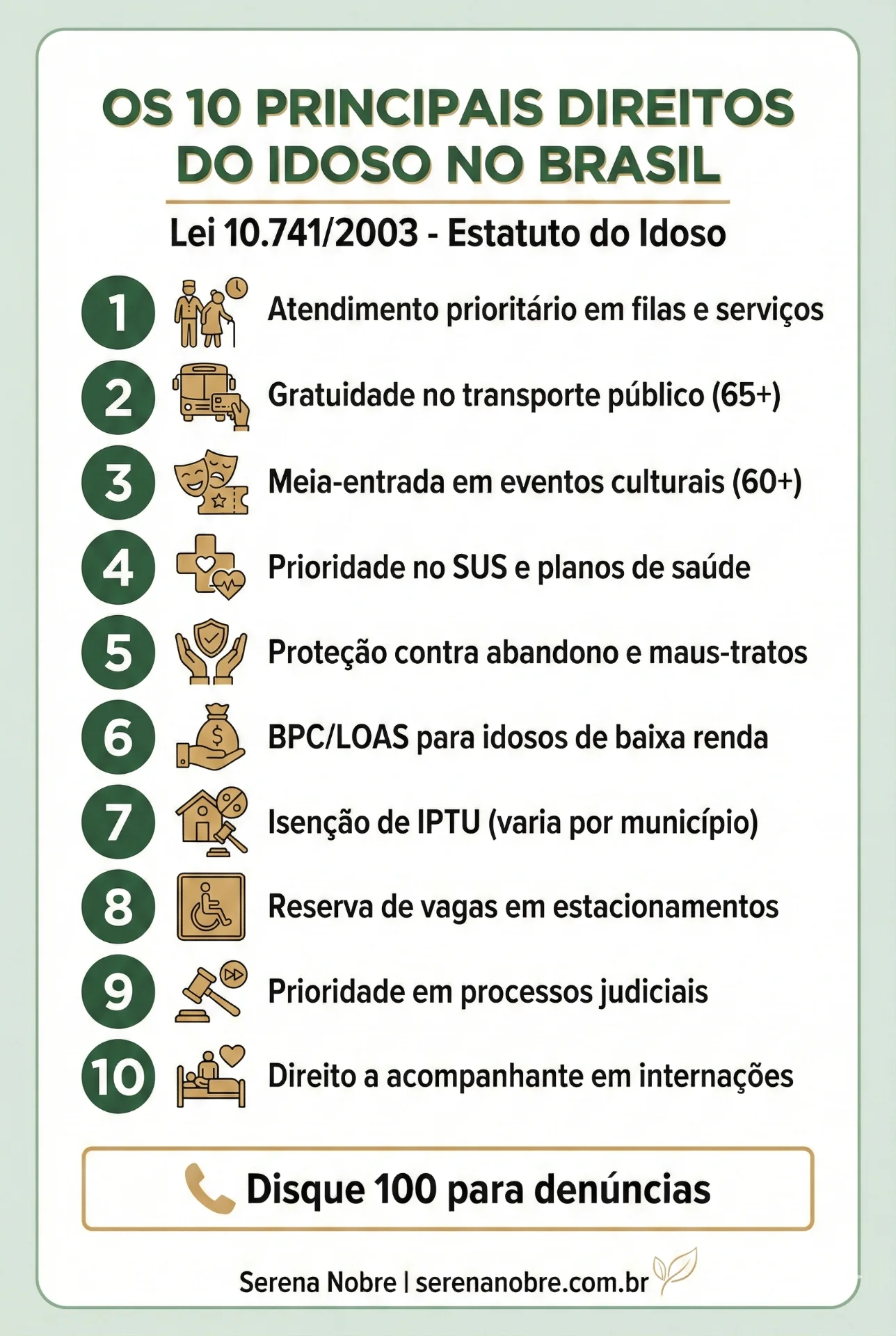 Os 10 Principais Direitos do Idoso no Brasil - infográfico vertical com ícones representando cada direito garantido pelo Estatuto